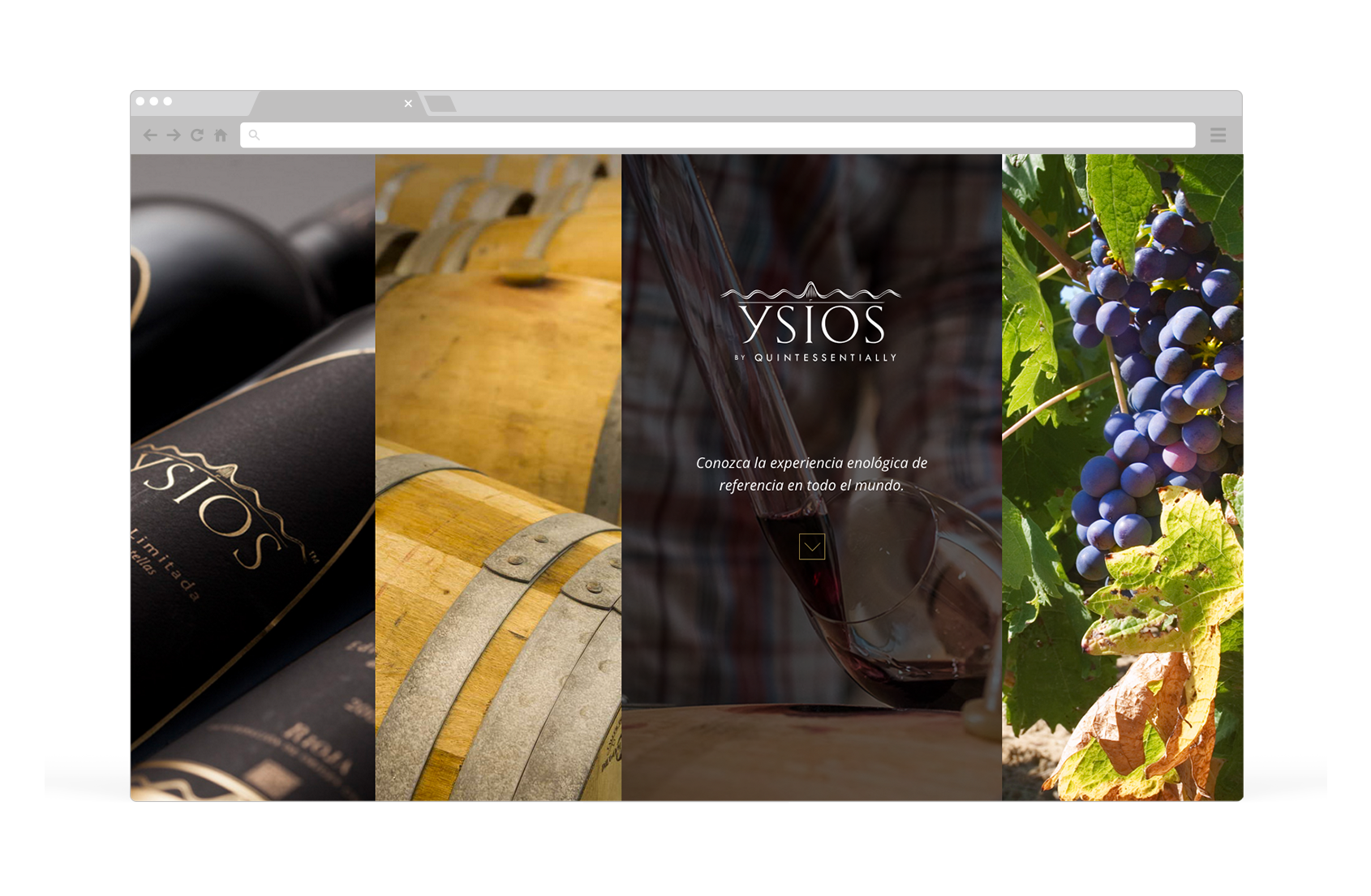 Diseño web marca de vino, Ysios