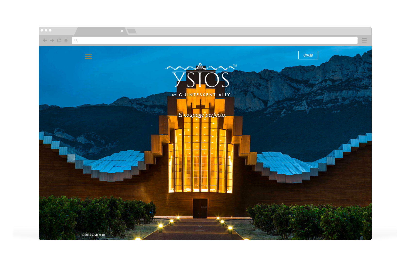 Diseño web marca de vino, Ysios